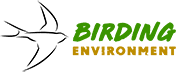 Logotype Birding Environment, refonte du site web